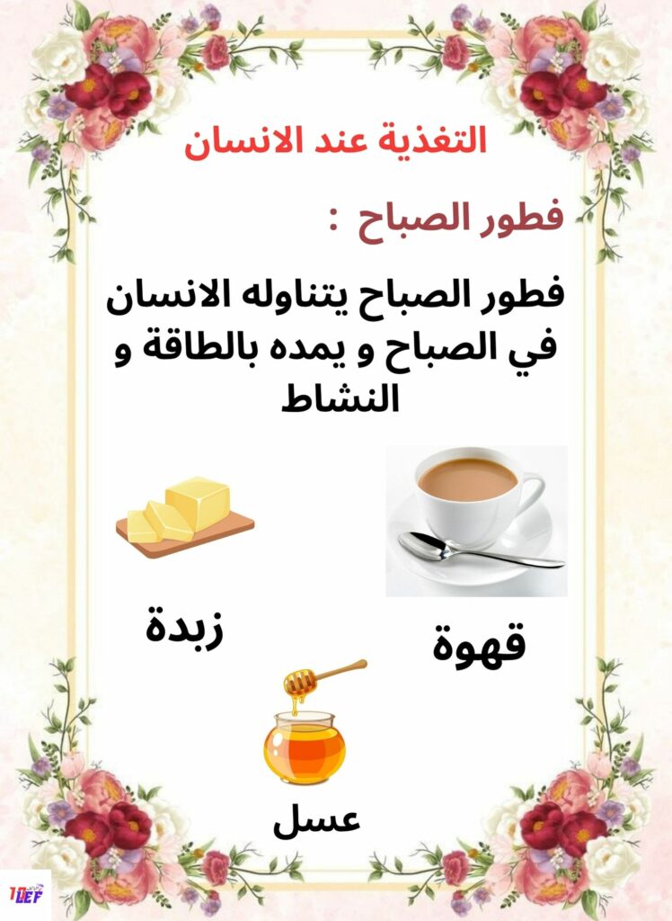 بحث حول التغذية عند الإنسان pdf