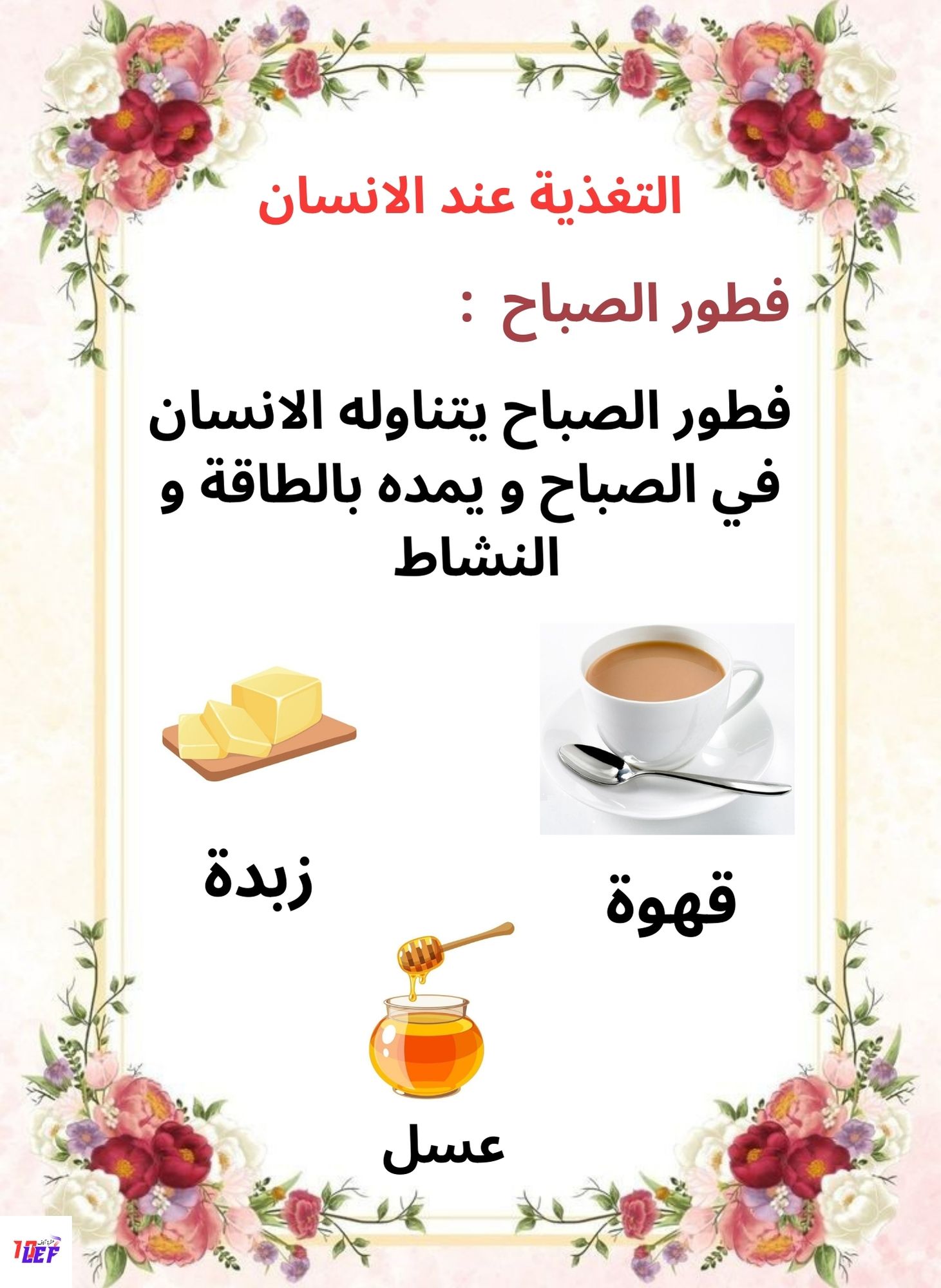 بحث حول التغذية عند الإنسان pdf