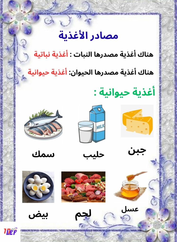 تمارين حول التغذية عند الإنسان سنة سادسة