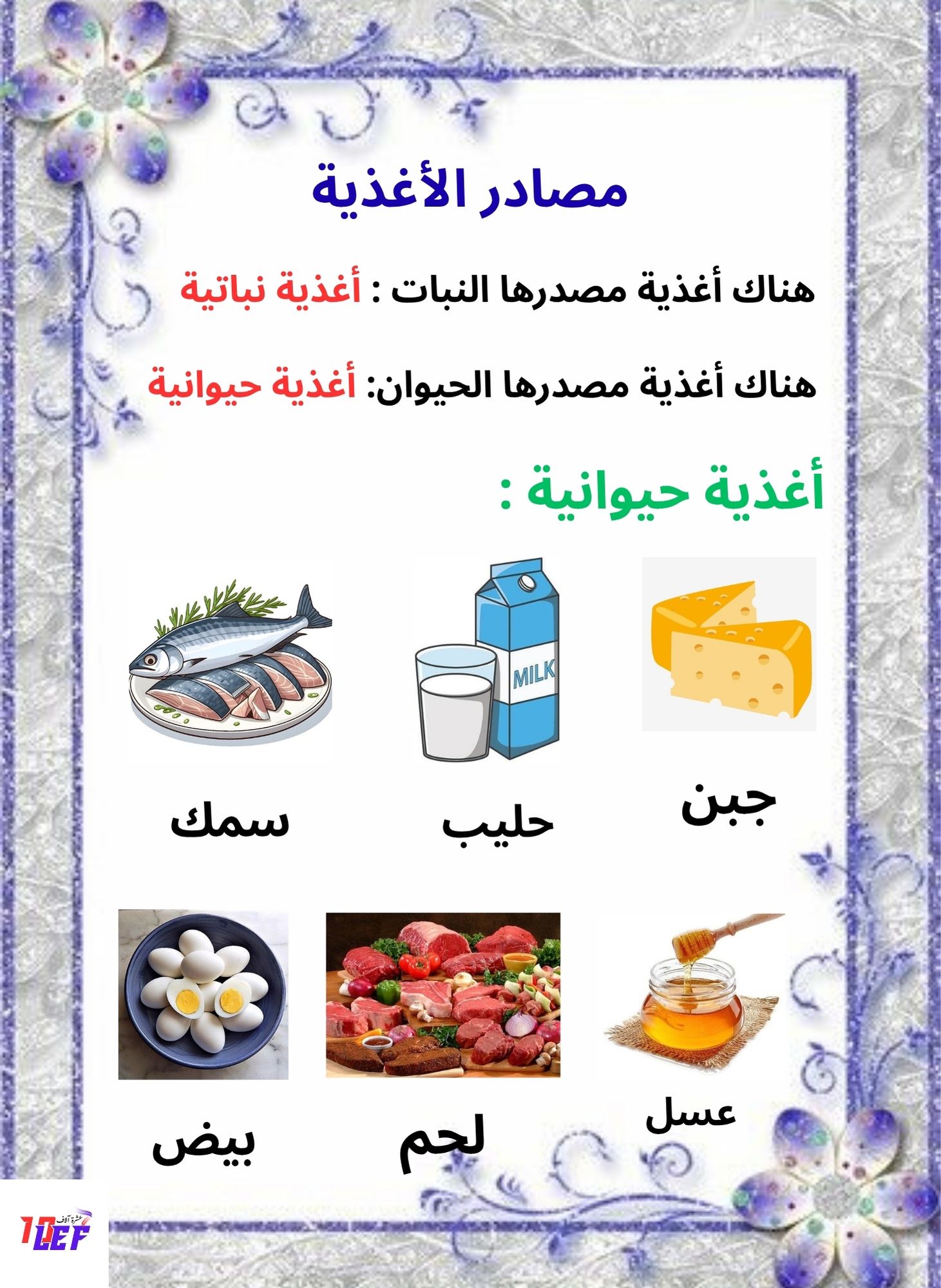 تمارين حول التغذية عند الإنسان سنة سادسة