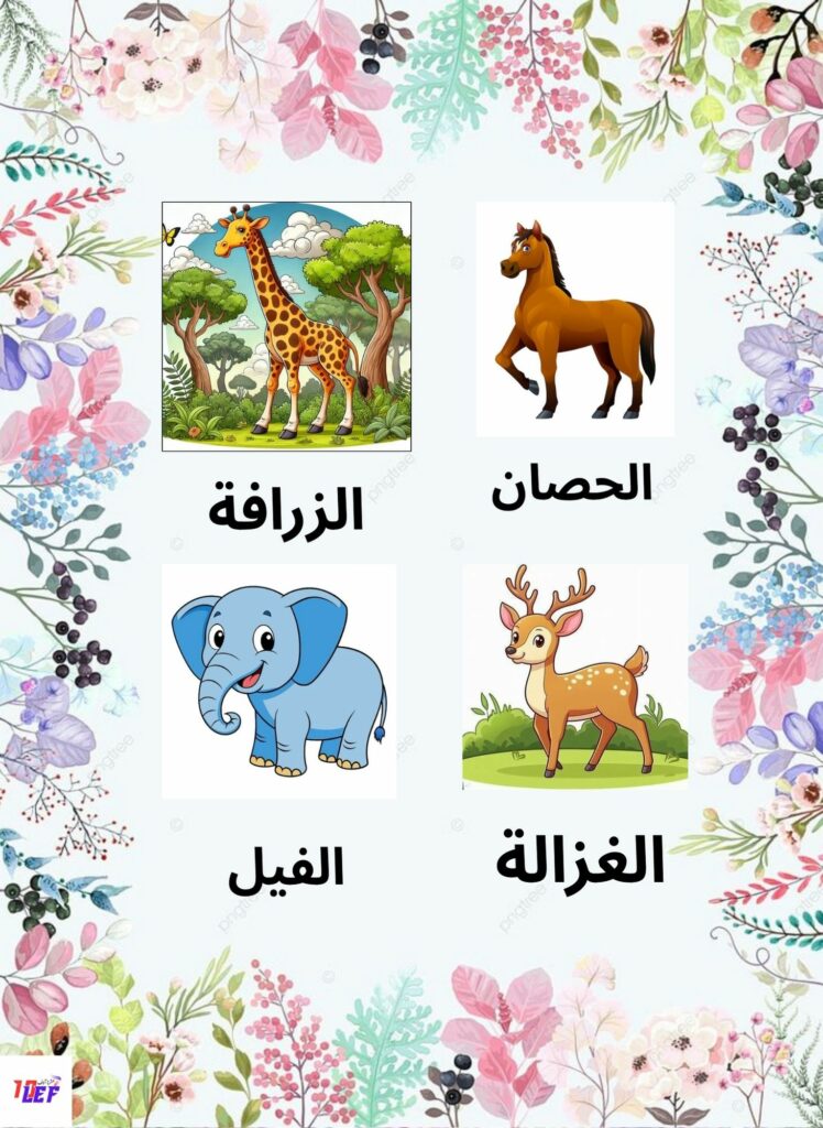 ملف حول التغذية عند الحيوان سنة أولى