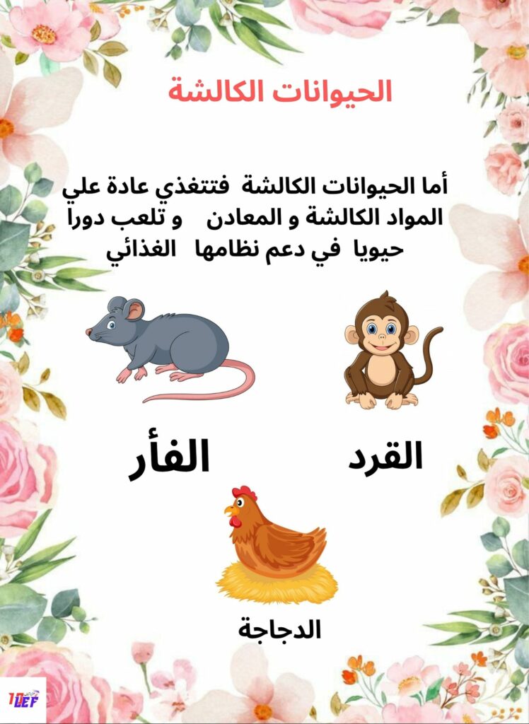 ملف حول التغذية عند الحيوان سنة أولى