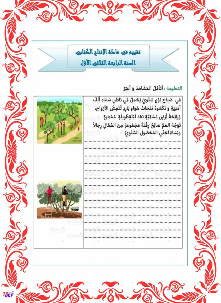 انتاج كتابي جني الزيتون