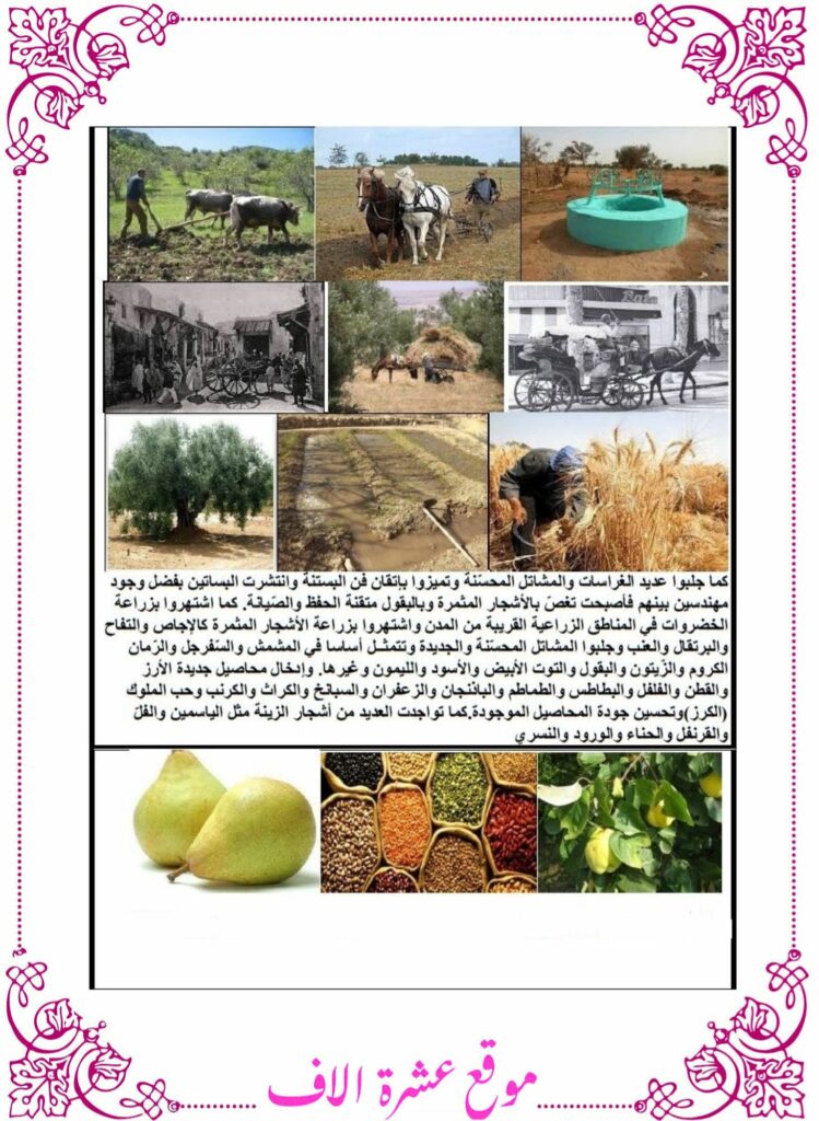 دروس تاريخ سنة سادسة