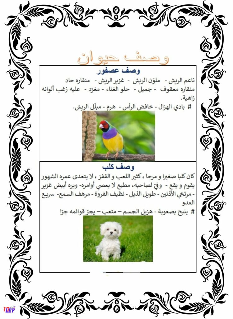 وصف حيوان انتاج كتابي سنة رابعة