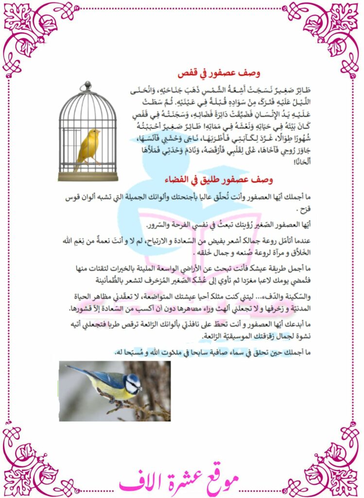 وصف عصفور انتاج كتابي سنة سادسة