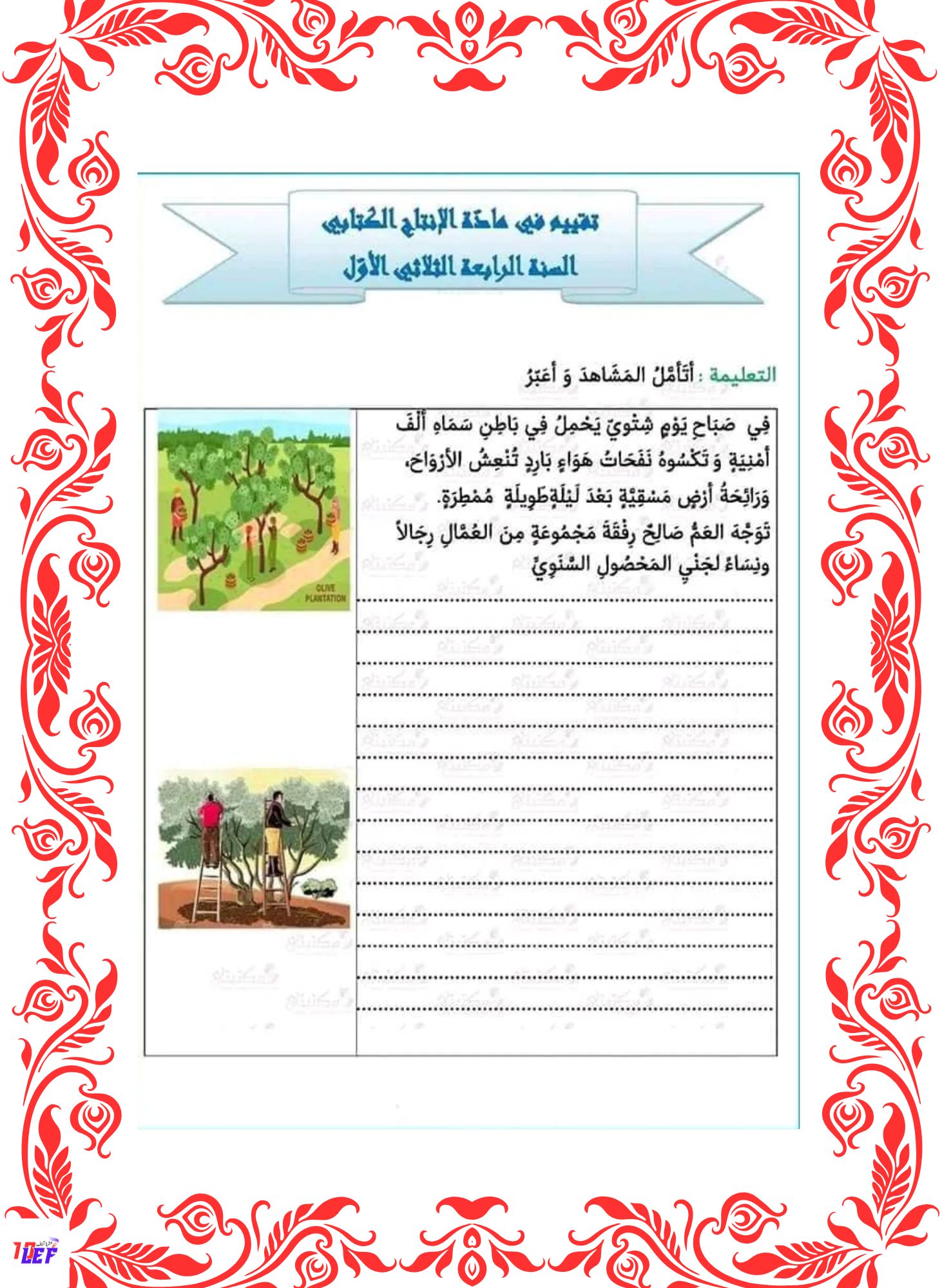 انتاج كتابي جني الزيتون