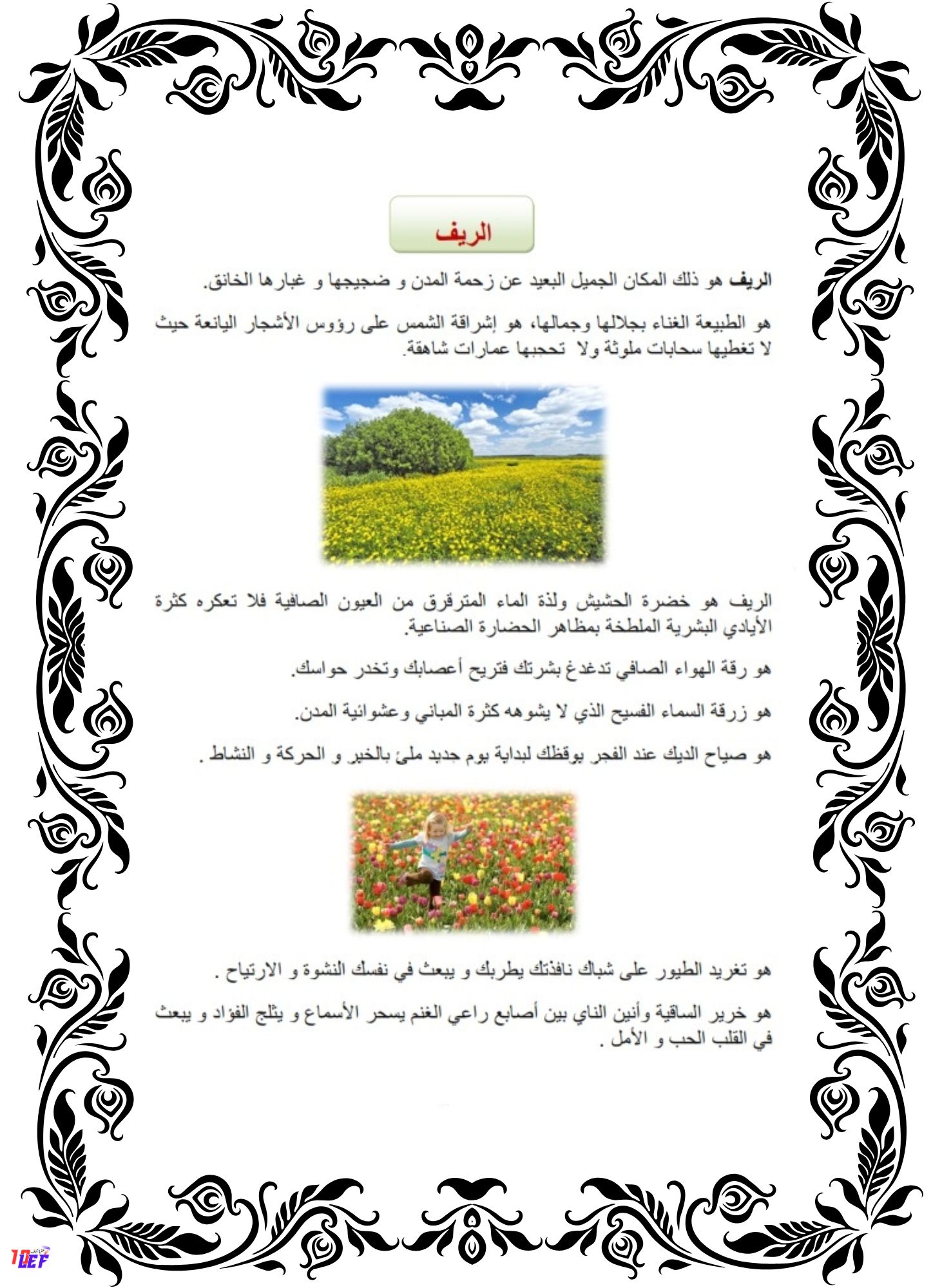 وصف الريف انتاج كتابي