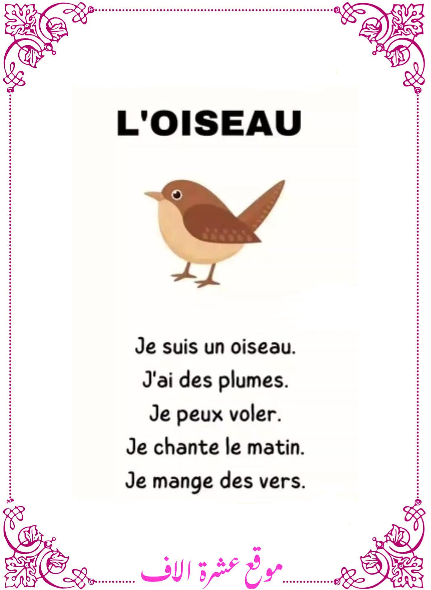 وصف عصفور بالفرنسية سنة سادسة